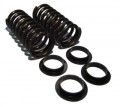 Road Spring Set Front HD TR6,213165UR