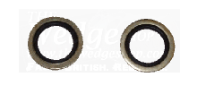 Triumph TR8 power steering banjo bolts